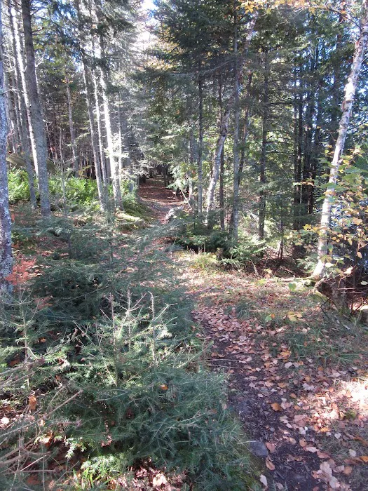 BWCA Campsite #954 Picture 2