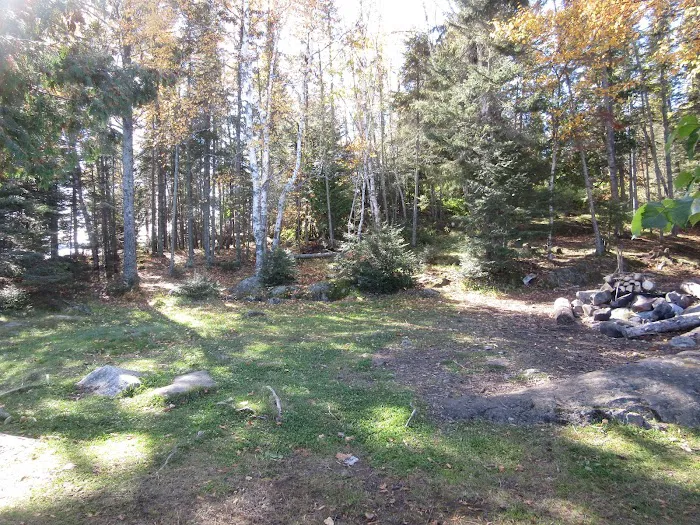 BWCA Campsite #954 Picture 6