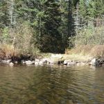 BWCA Campsite #948