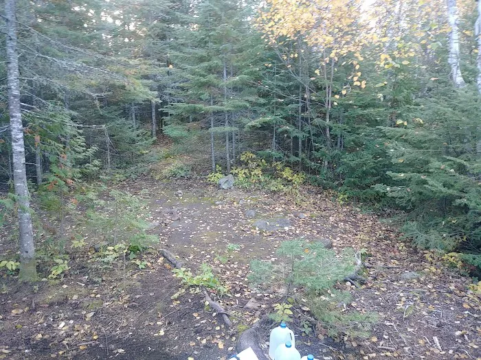 BWCA Campsite #945 Picture 5