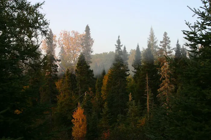 Poplar River Rustic Campground Picture 5