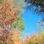 Poplar River Rustic Campground