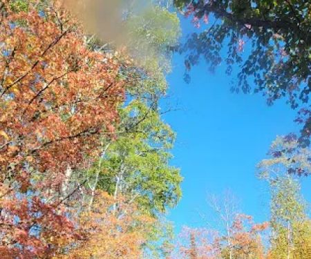 Poplar River Rustic Campground