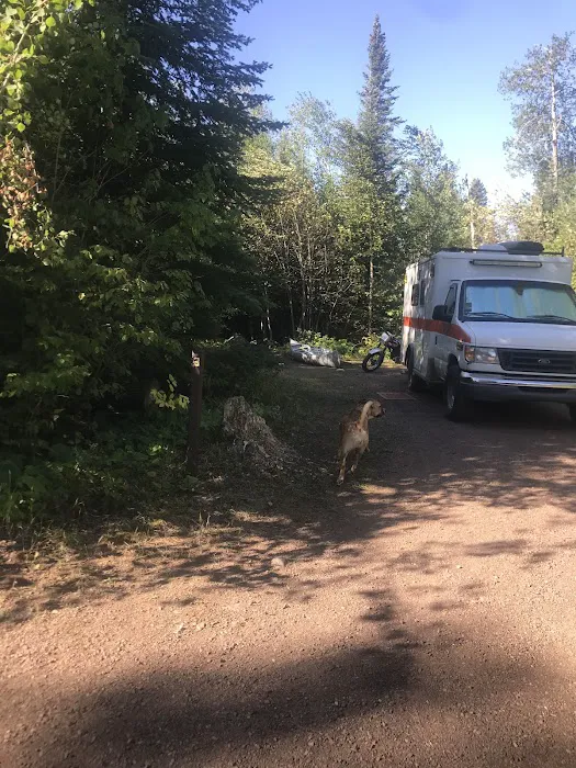 White Pine Lake Rustic Campground Picture 9