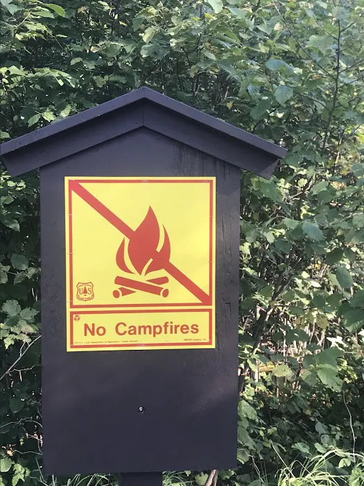 White Pine Lake Rustic Campground Picture 4