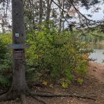 East Lake Agnes Camp