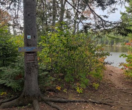 East Lake Agnes Camp