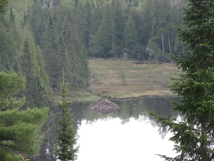 East Lake Agnes Camp Picture 2