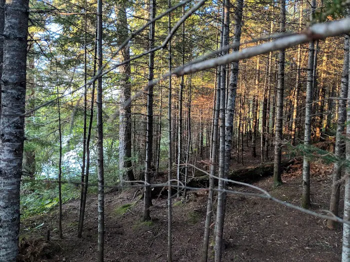 East Poplar River Camp Picture 2