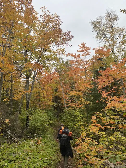 Mystery Mountain Camp Picture 7
