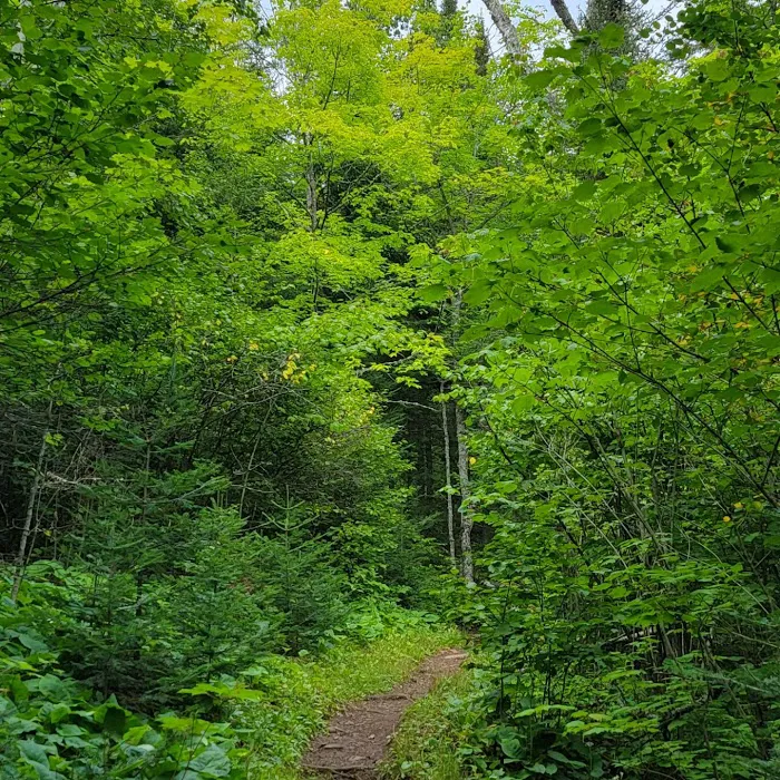 Mystery Mountain Camp Picture 4