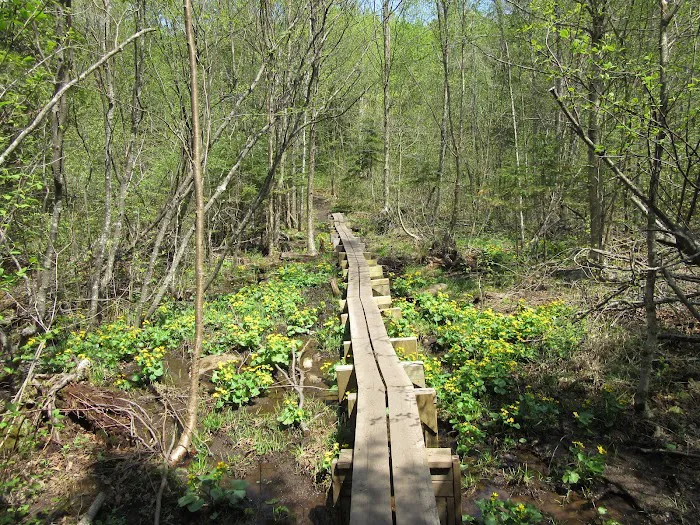 Mystery Mountain Camp Picture 3