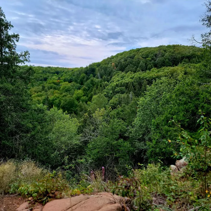 Mystery Mountain Camp Picture 10