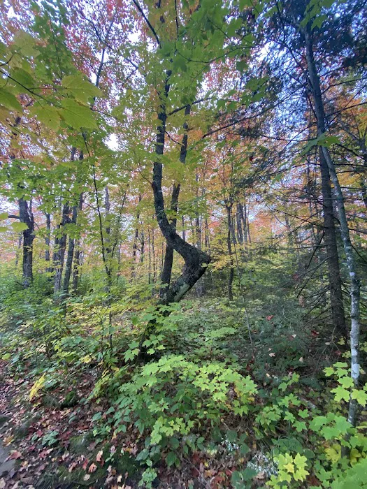 Mystery Mountain Camp Picture 8