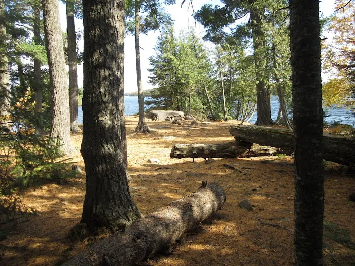 BWCA Campsite #941 Picture 4
