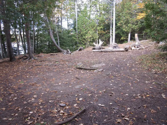 BWCA Campsite #938 Picture 4