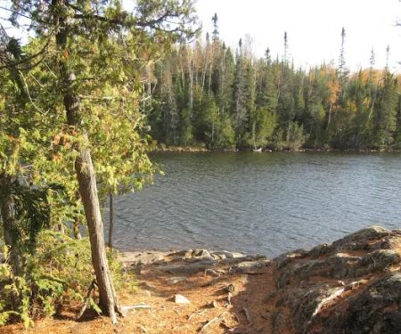 BWCA Campsite #967