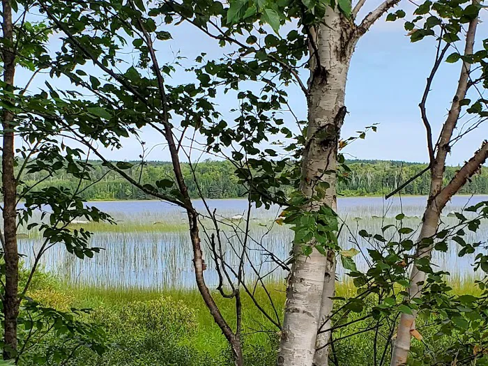 Toohey Lake Rustic Campground Picture 4