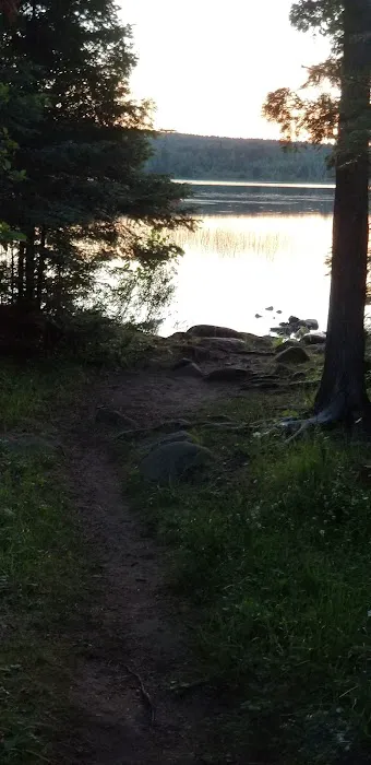Toohey Lake Rustic Campground Picture 9