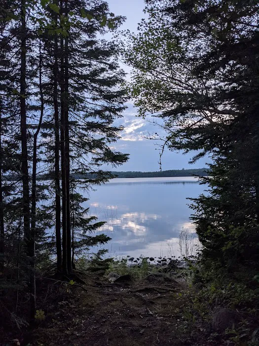 Fourmile Lk Rustic Campground & Backcountry Sites Picture 9