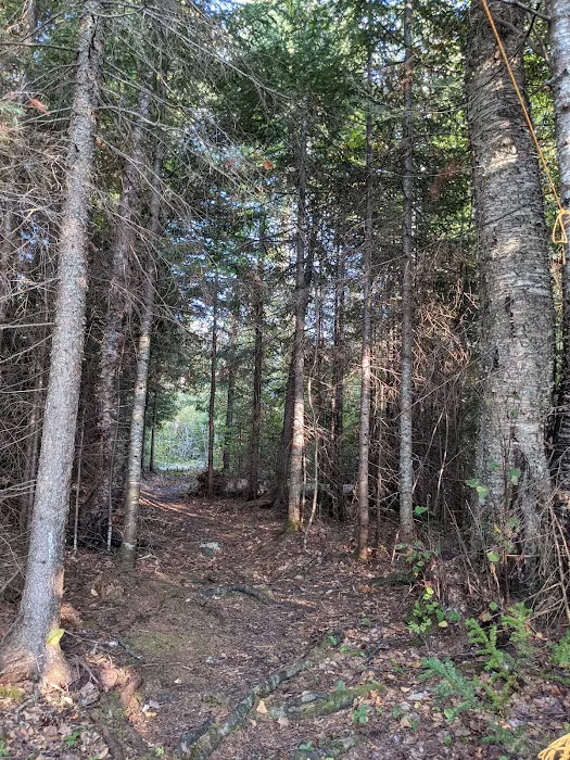 Fourmile Lk Rustic Campground & Backcountry Sites Picture 3