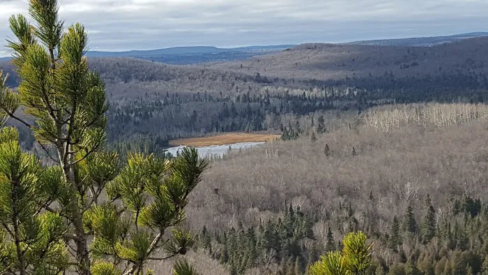Onion River Camp Picture 7