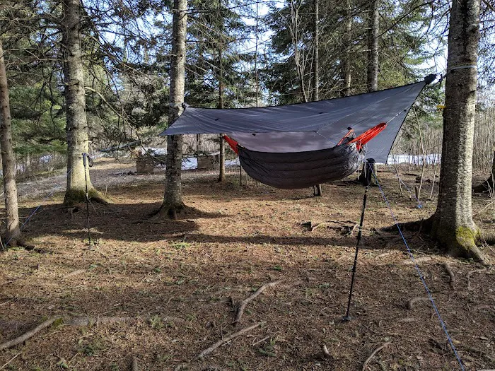 West Leveaux Pond Camp Picture 8