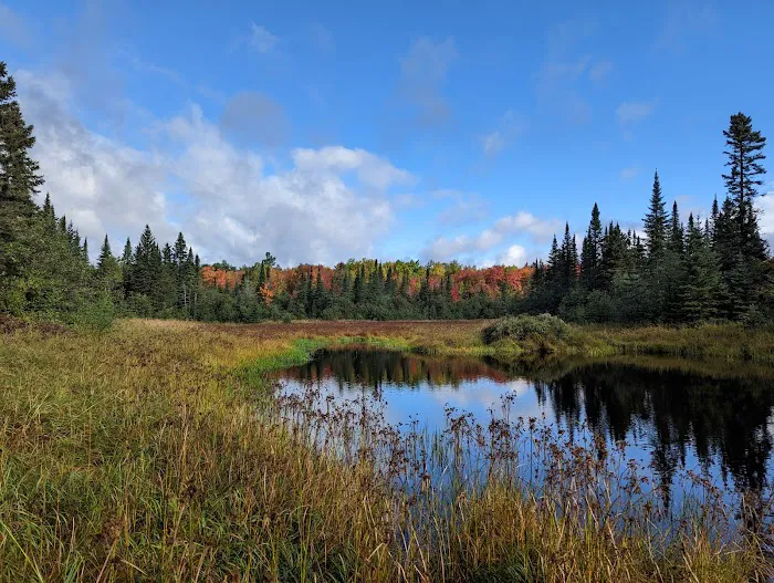 West Leveaux Pond Camp Picture 7