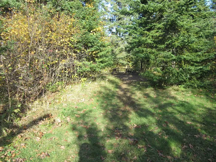 West Leveaux Pond Camp Picture 5