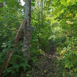 West Rollins Creek Camp