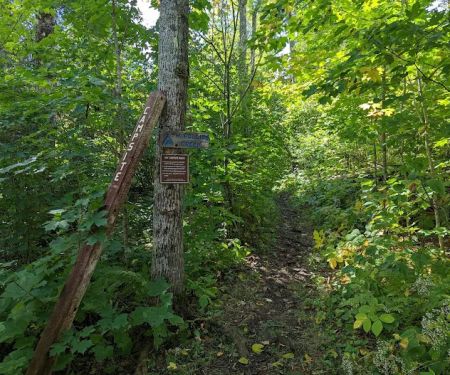 West Rollins Creek Camp