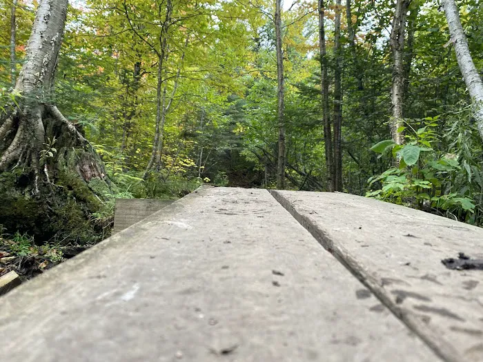 East Rollins Creek Camp Picture 7