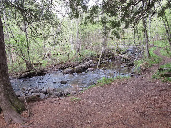 East Rollins Creek Camp Picture 2