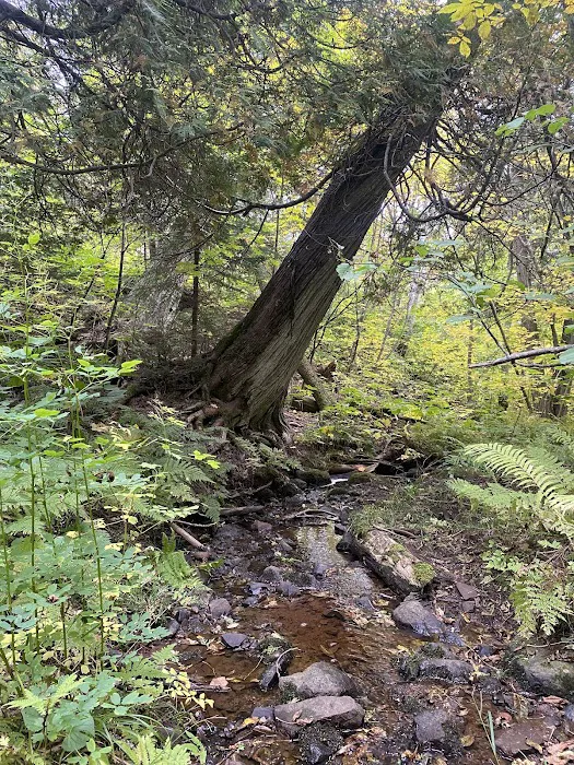 East Rollins Creek Camp Picture 3