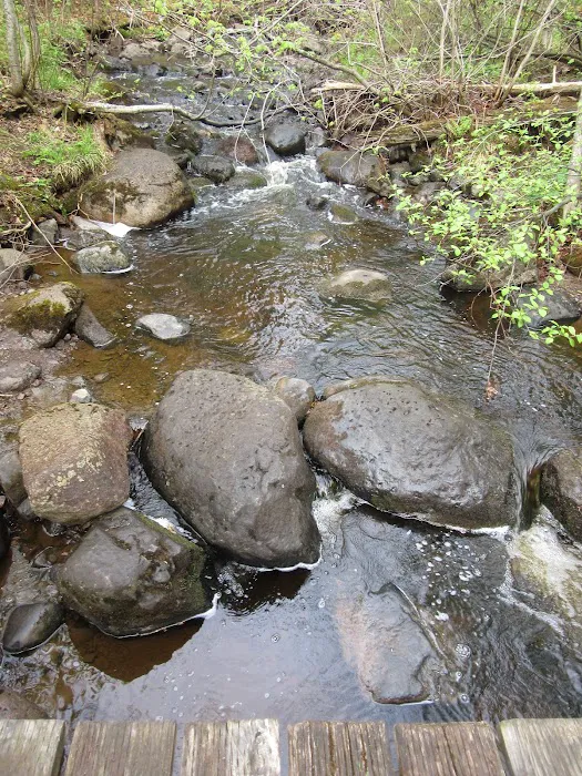 East Rollins Creek Camp Picture 10
