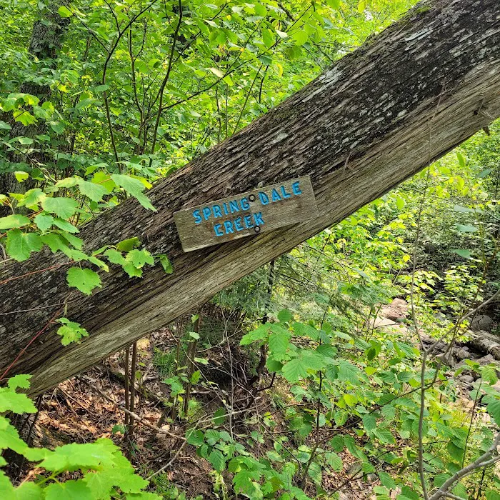 Springdale Creek Camp Picture 6