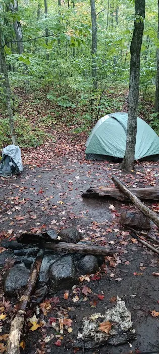 Springdale Creek Camp Picture 7