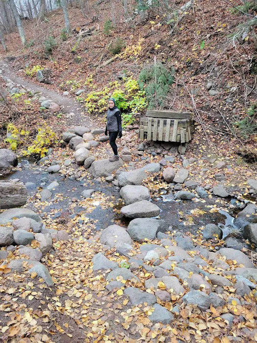 Springdale Creek Camp Picture 5