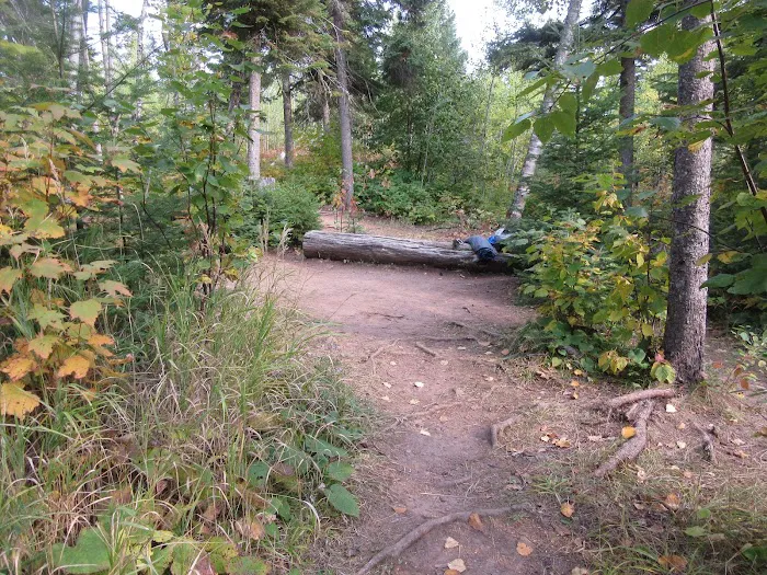 Camp Creek Campsite Picture 4