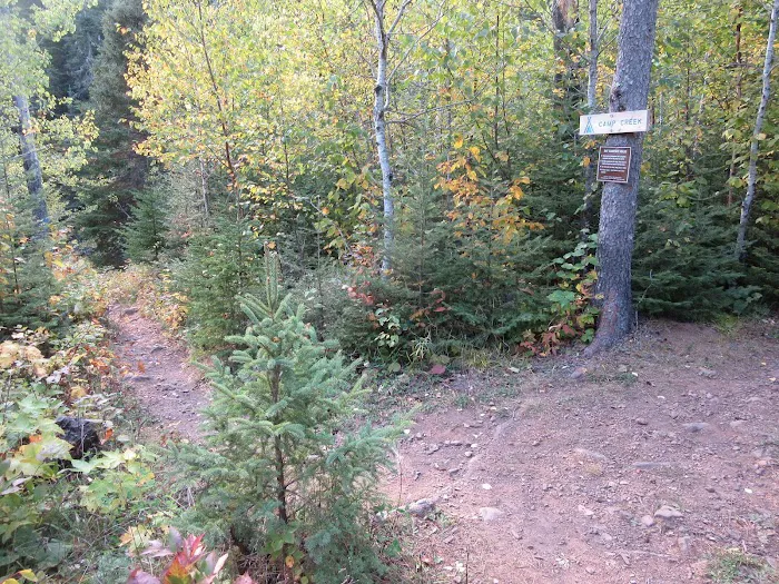 Camp Creek Campsite Picture 5