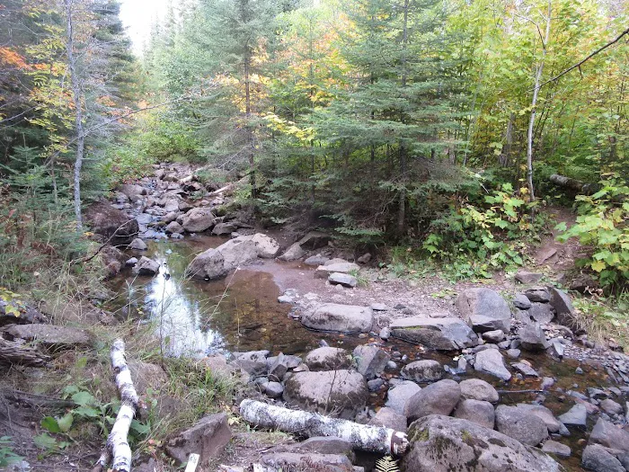 Camp Creek Campsite Picture 1