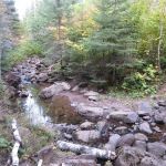 Camp Creek Campsite