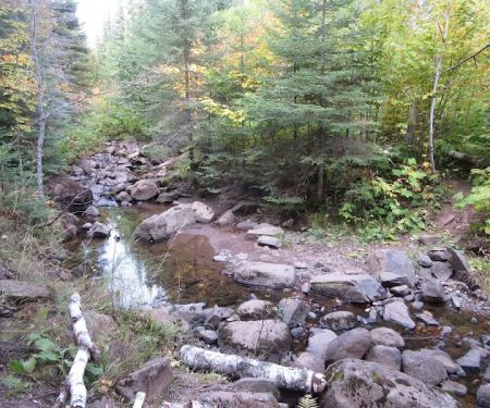 Camp Creek Campsite