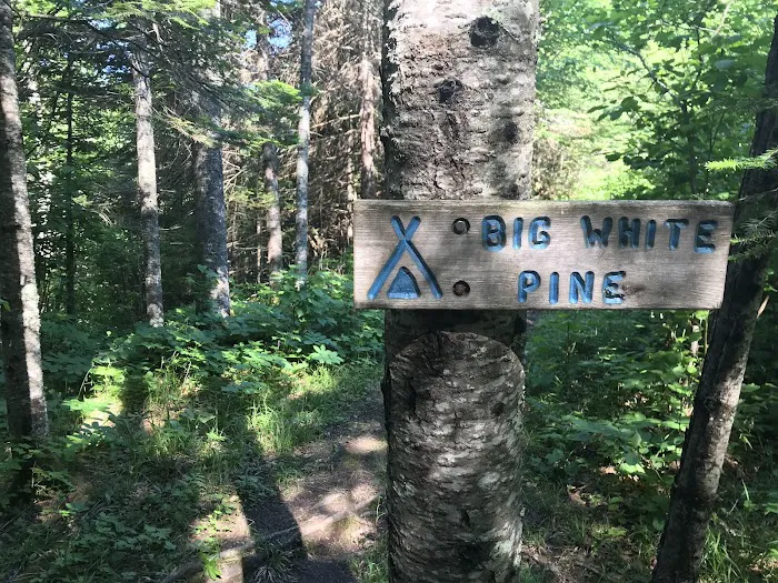 Big White Pine Camp Picture 3