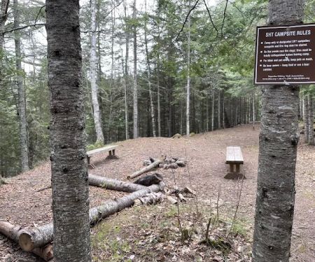 Big White Pine Camp