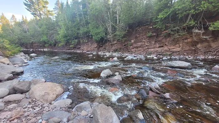 Trout Creek Campsite Picture 2