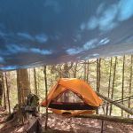 Trout Creek Campsite