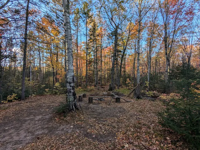 Cut Log Camp Picture 1