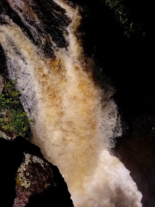 Cascade River State Park Group Campsites Picture 5