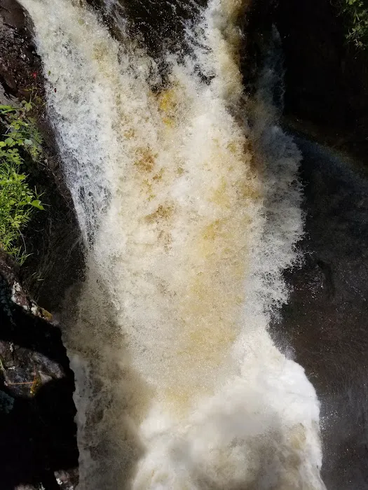 Cascade River State Park Group Campsites Picture 7